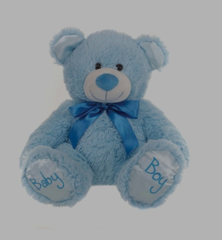 Baby Boy Teddy