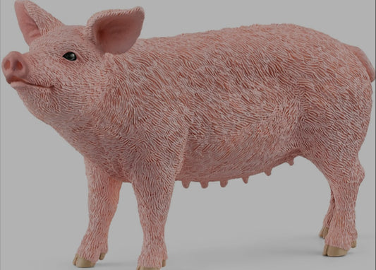 Schleich Pig