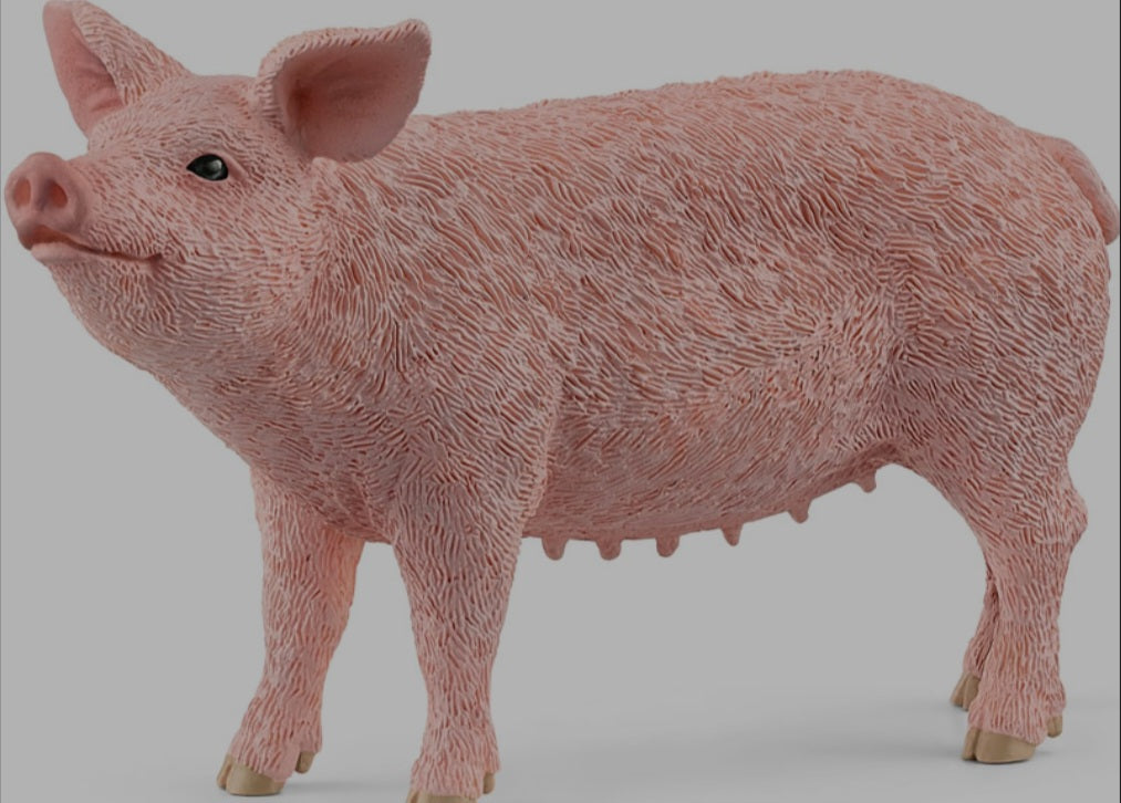 Schleich Pig